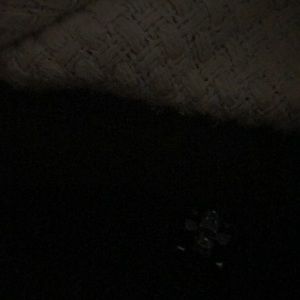 Meet your Posher, Lauryn